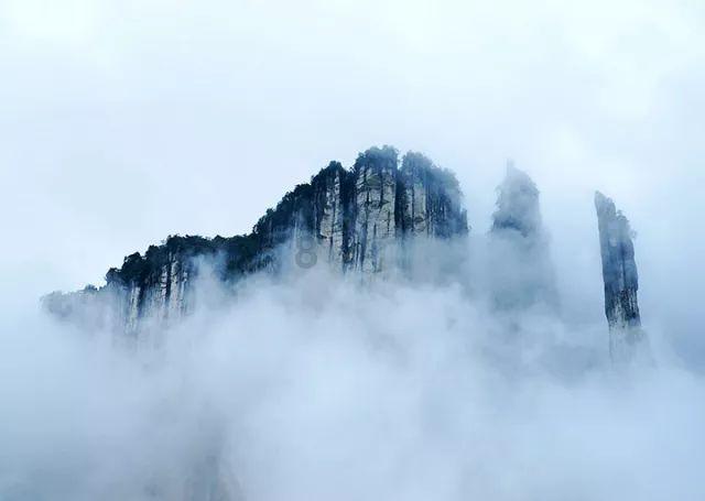 车厘子价格回落无碍水果市场走势——预计春节前多数水果价格小幅上涨
